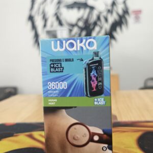 Miami Mint Ice WAKA 36000 by RELX