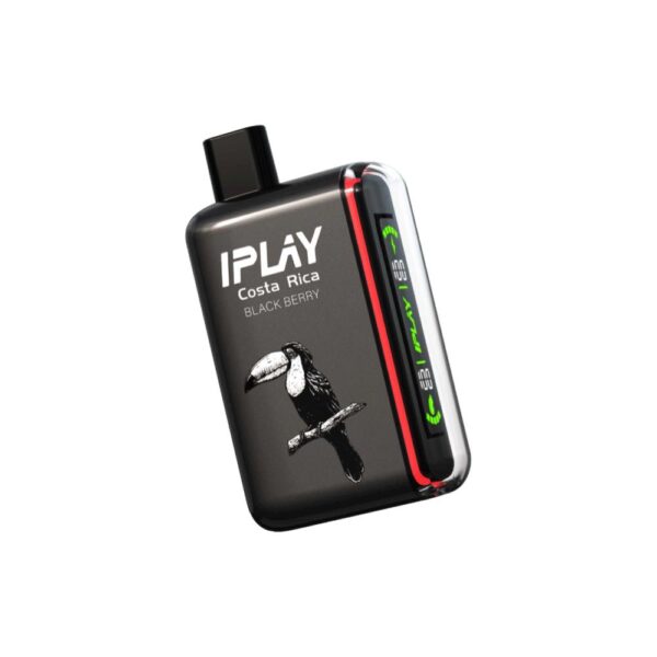 Black Berry by IPLAY PARADISE
