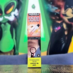 Mango Passionfruit 5500 by Vanza